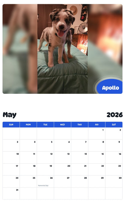 2026 - 2027 Apollo - Pawidols Pet Calendar