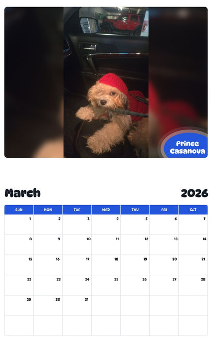 November 2025 - October 2026 Prince Casanova - Pawidols Pet Calendar