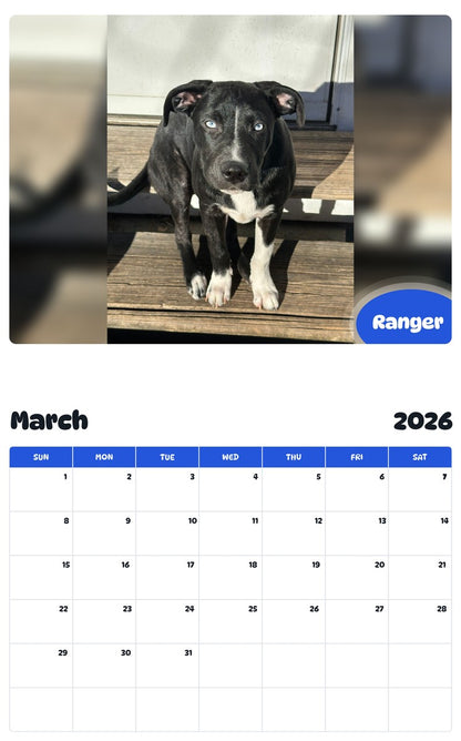 November 2025 - October 2026 Ranger - Pawidols Pet Calendar