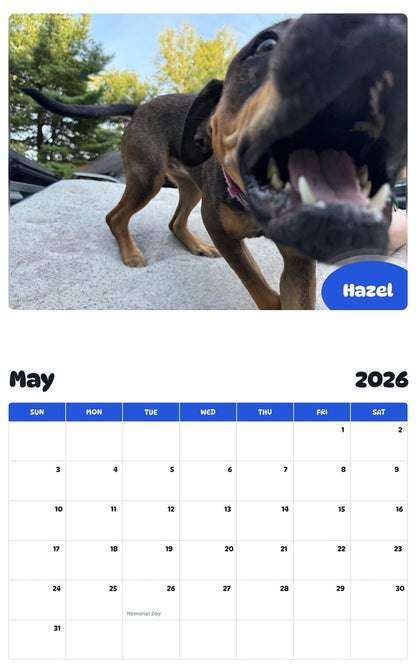 2026 - 2027 Hazel - Pawidols Pet Calendar