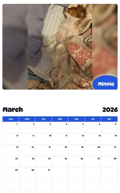 November 2025 - October 2026 Minnie - Pawidols Pet Calendar
