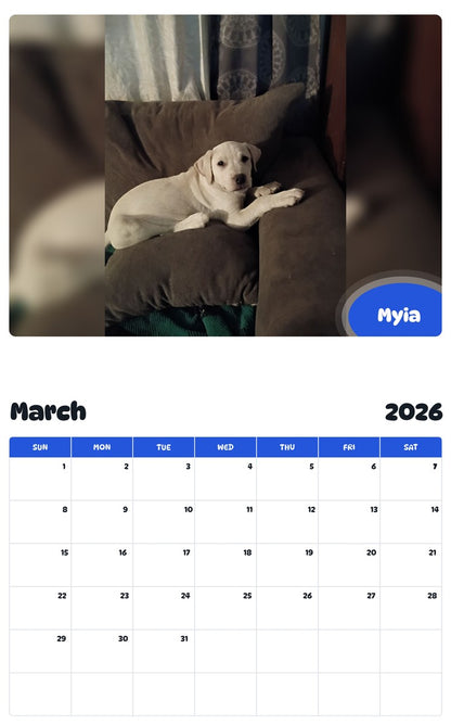 November 2025 - October 2026 Myia - Pawidols Pet Calendar