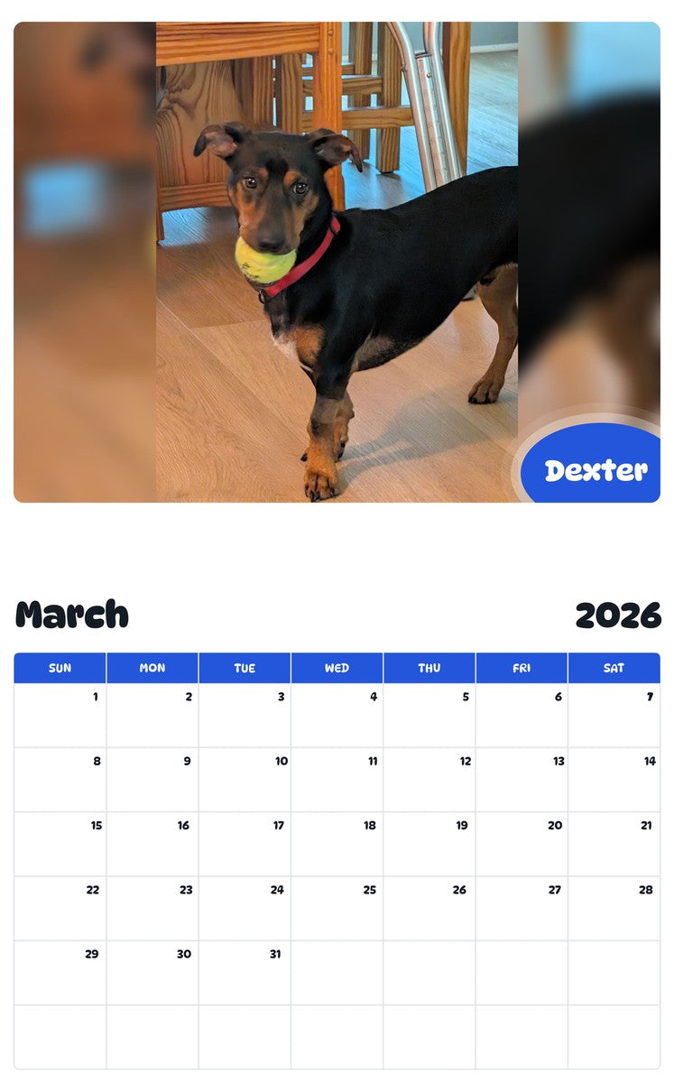 November 2025 - October 2026 Dexter - Pawidols Pet Calendar
