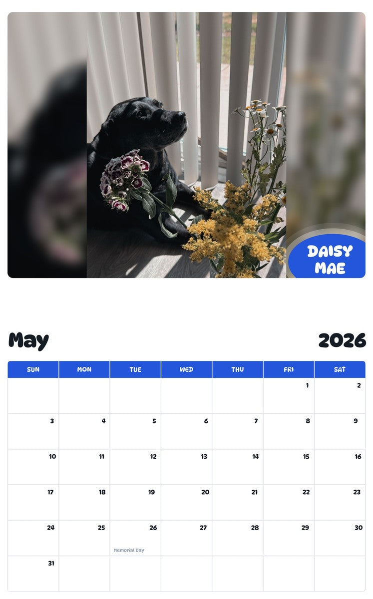 2026 - 2027 DAISY MAE - Pawidols Pet Calendar