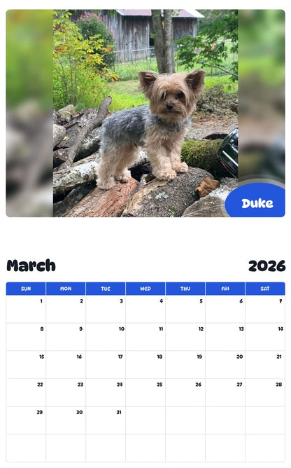 November 2025 - October 2026 Duke - Pawidols Pet Calendar