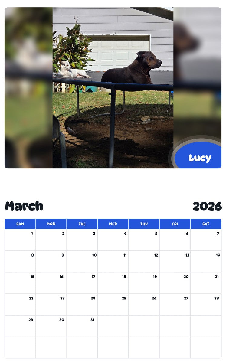 November 2025 - October 2026 Lucy - Pawidols Pet Calendar