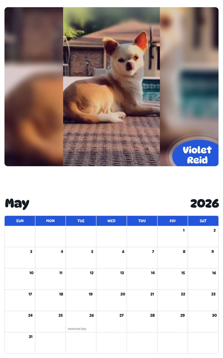 2026 - 2027 Violet Reid - Pawidols Pet Calendar