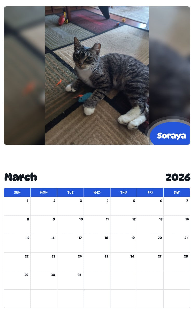 November 2025 - October 2026 Soraya - Pawidols Pet Calendar