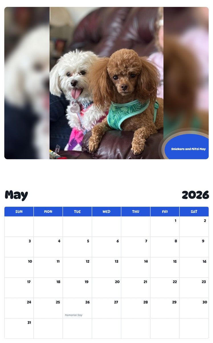 2026 - 2027 Snickers and Mitzi May - Pawidols Pet Calendar