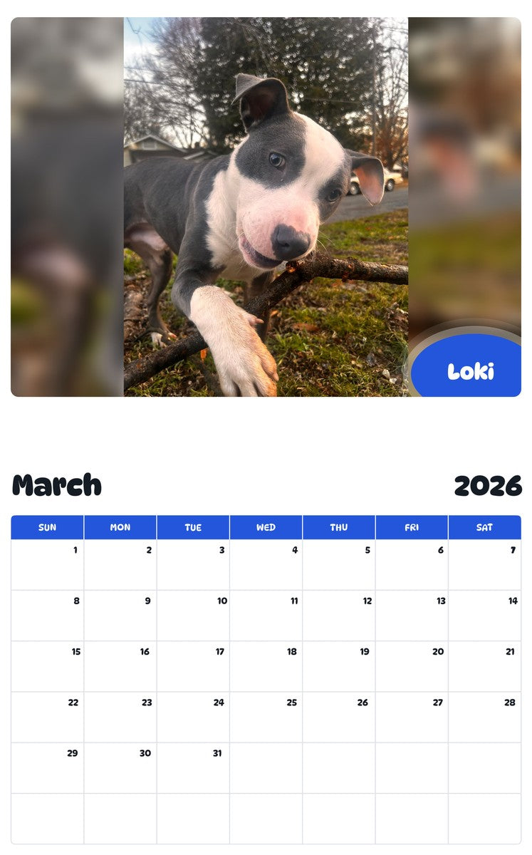November 2025 - October 2026 Loki - Pawidols Pet Calendar