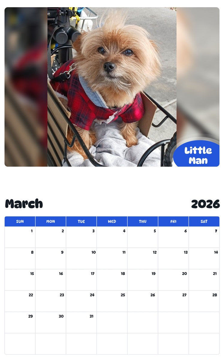 November 2025 - October 2026 Little Man - Pawidols Pet Calendar