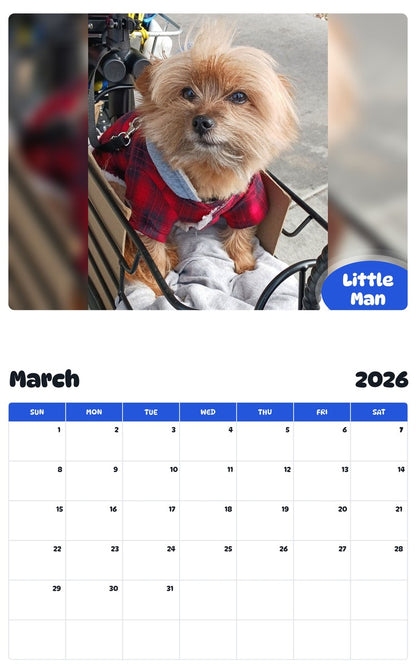 November 2025 - October 2026 Little Man - Pawidols Pet Calendar