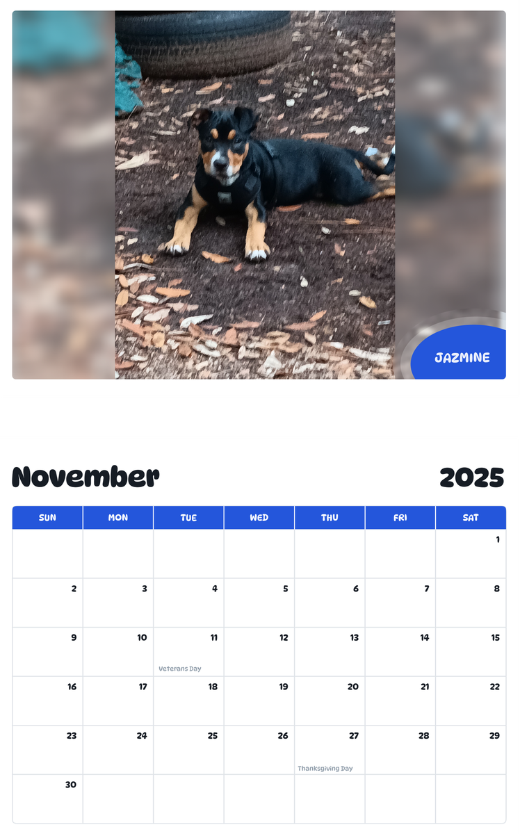 July 2025 - June 2026 Jazmine - Pawidols Pet Calendar