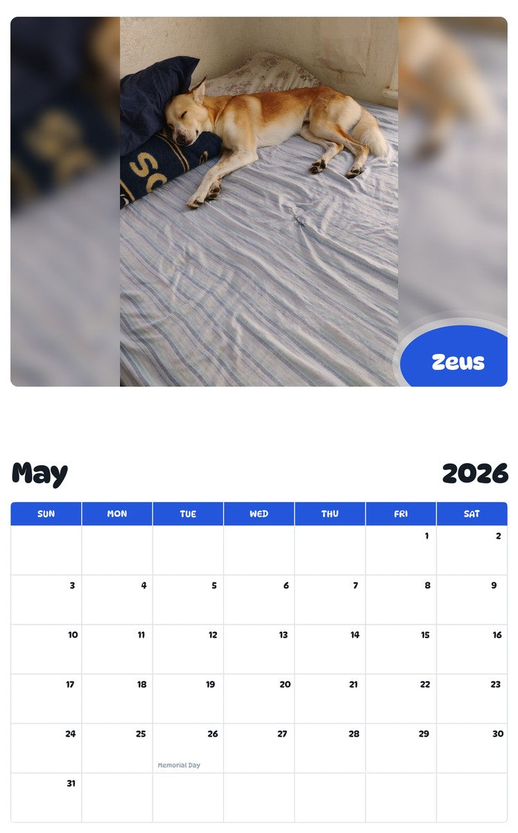 2026 - 2027 Zeus - Pawidols Pet Calendar