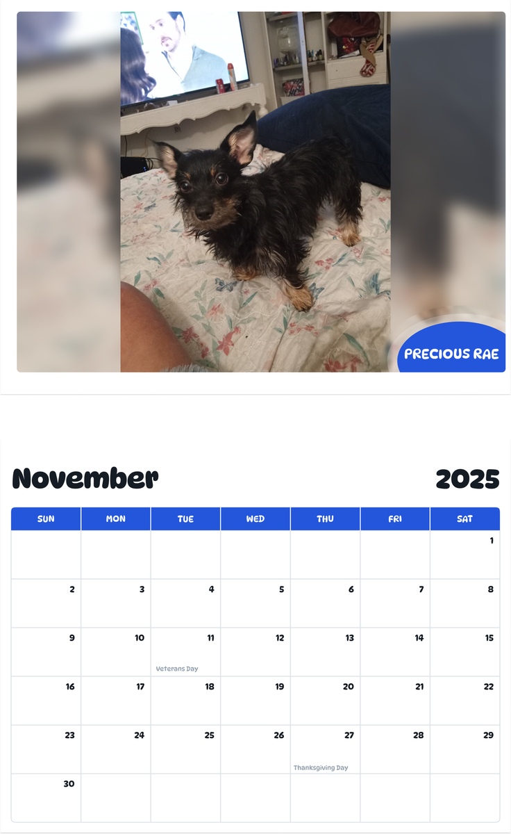 July 2025 - June 2026 Precious Rae - Pawidols Pet Calendar