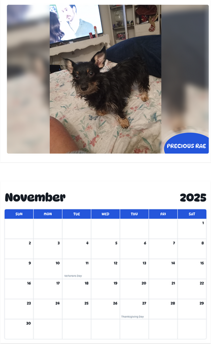 July 2025 - June 2026 Precious Rae - Pawidols Pet Calendar