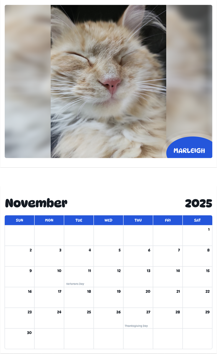 July 2025 - June 2026 Marleigh - Pawidols Pet Calendar