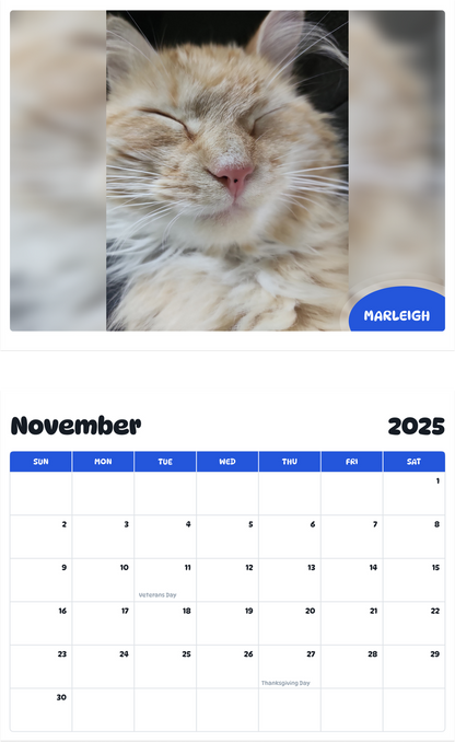 July 2025 - June 2026 Marleigh - Pawidols Pet Calendar