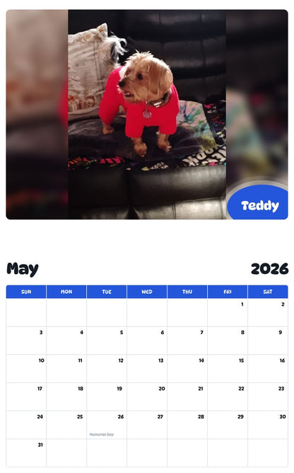 2026 - 2027 Teddy - Pawidols Pet Calendar