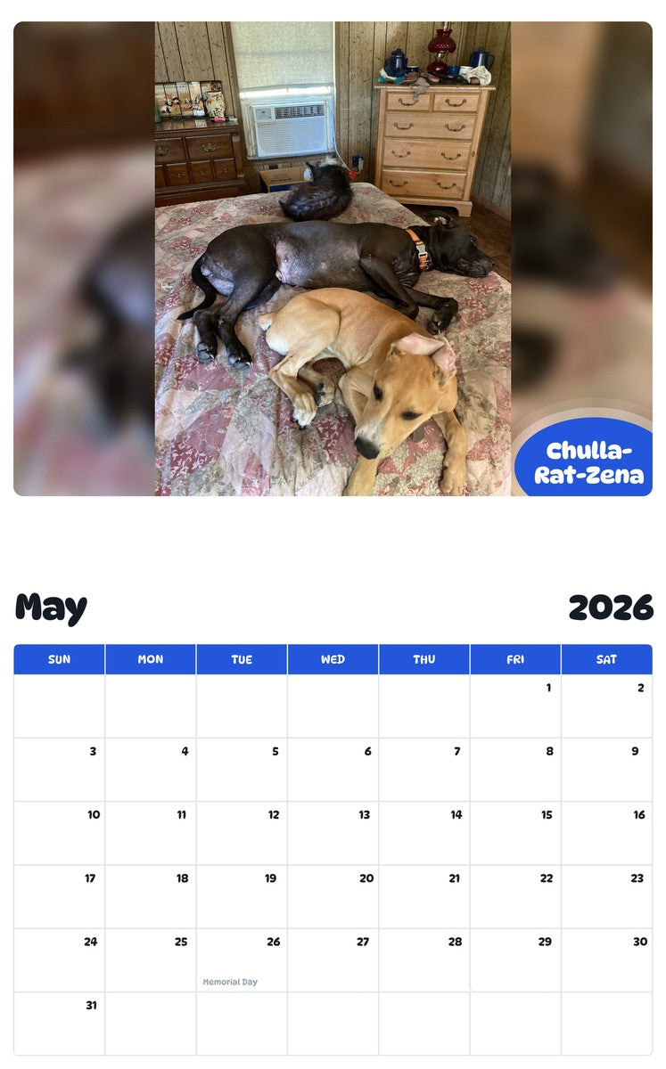 2026 - 2027 Chulla-Rat-Zena - Pawidols Pet Calendar