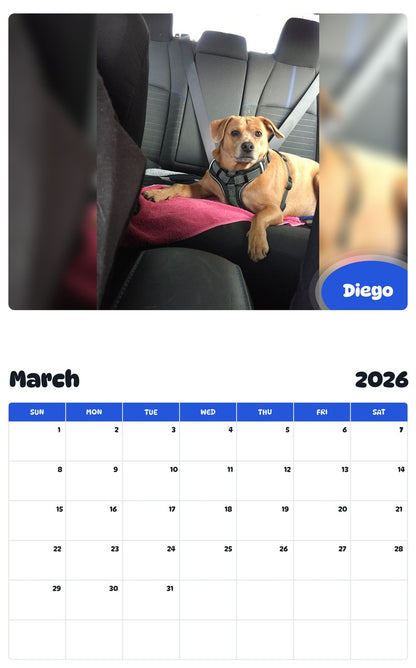 November 2025 - October 2026 Diego - Pawidols Pet Calendar