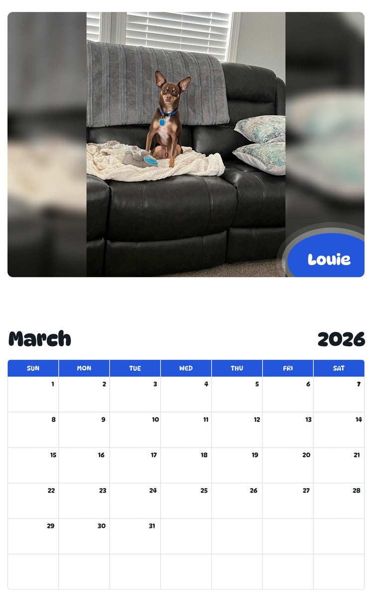November 2025 - October 2026 Louie - Pawidols Pet Calendar