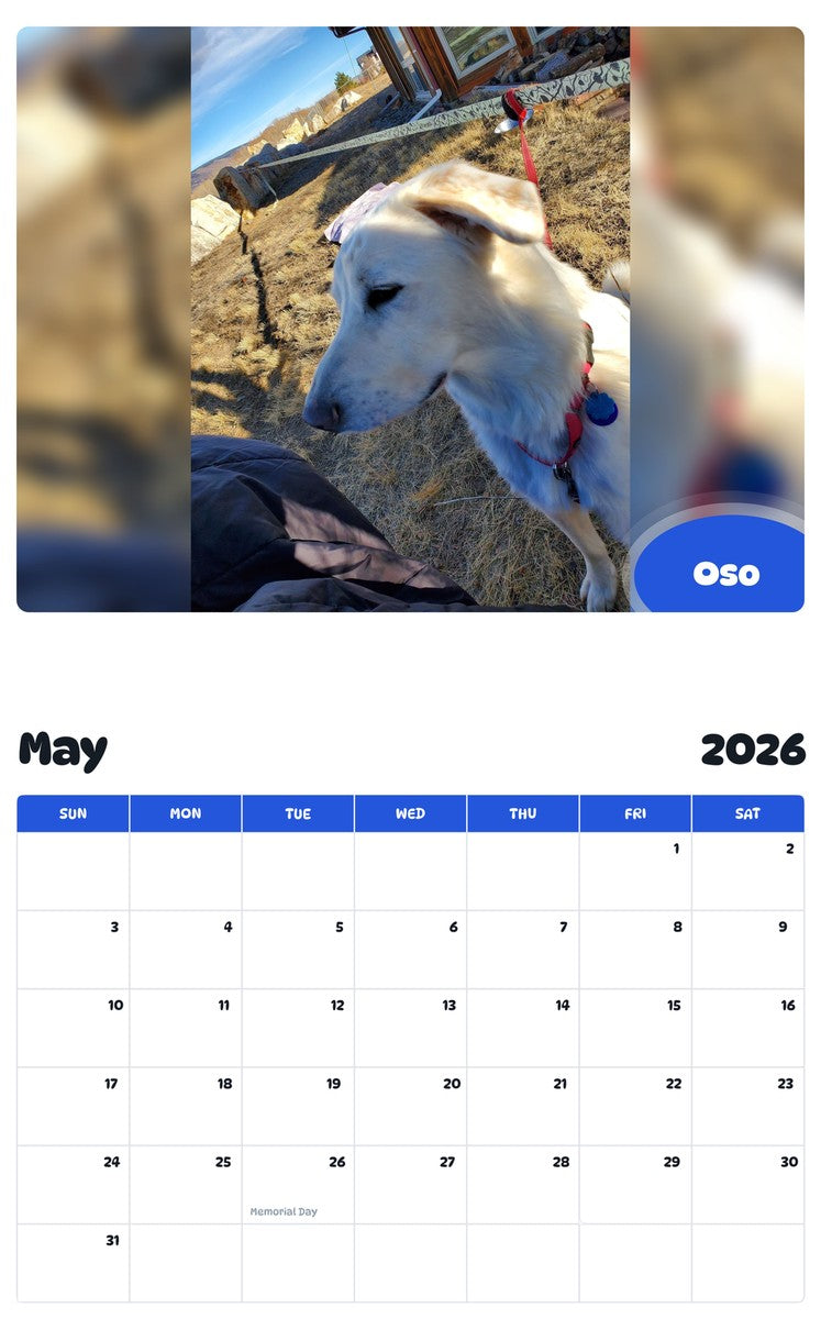2026 - 2027 Oso - Pawidols Pet Calendar