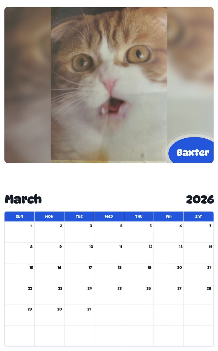 November 2025 - October 2026 Baxter - Pawidols Pet Calendar