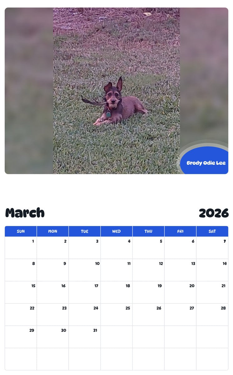 November 2025 - October 2026 Brody Odie Lee - Pawidols Pet Calendar