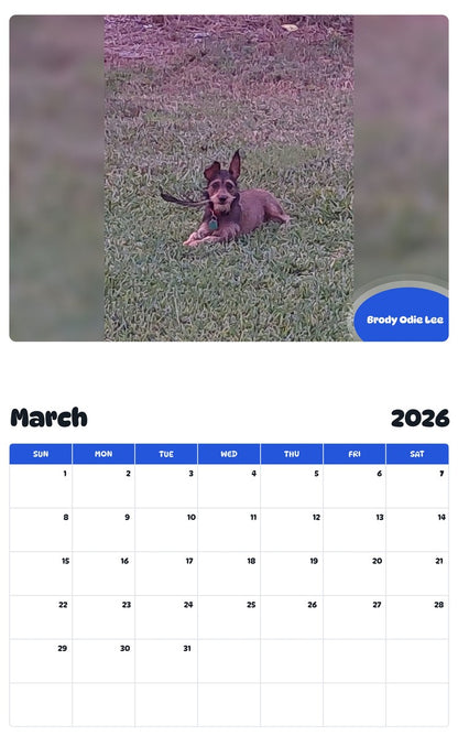 November 2025 - October 2026 Brody Odie Lee - Pawidols Pet Calendar