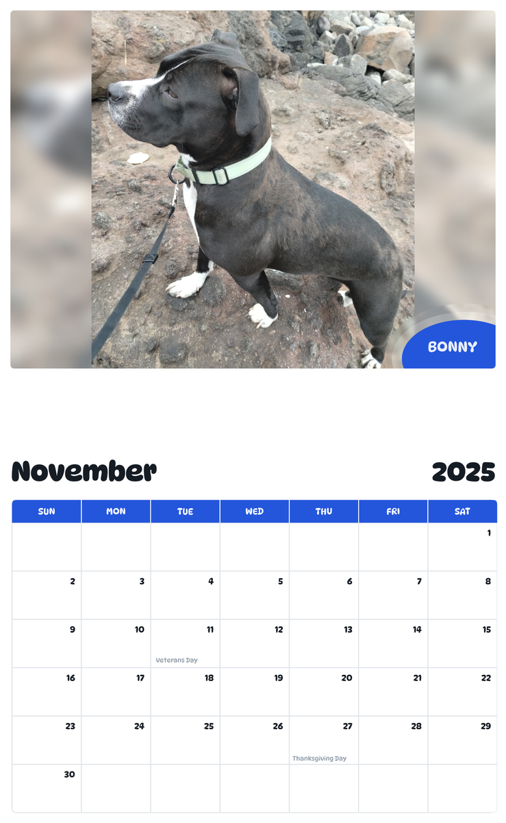 July 2025 - June 2026 Bonny - Pawidols Pet Calendar