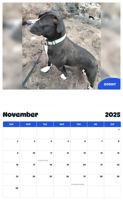 July 2025 - June 2026 Bonny - Pawidols Pet Calendar