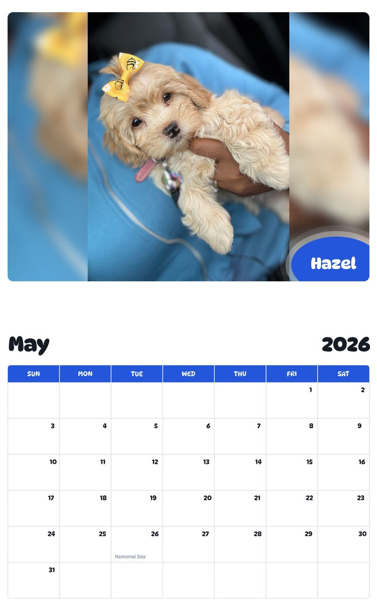 2026 - 2027 Hazel - Pawidols Pet Calendar
