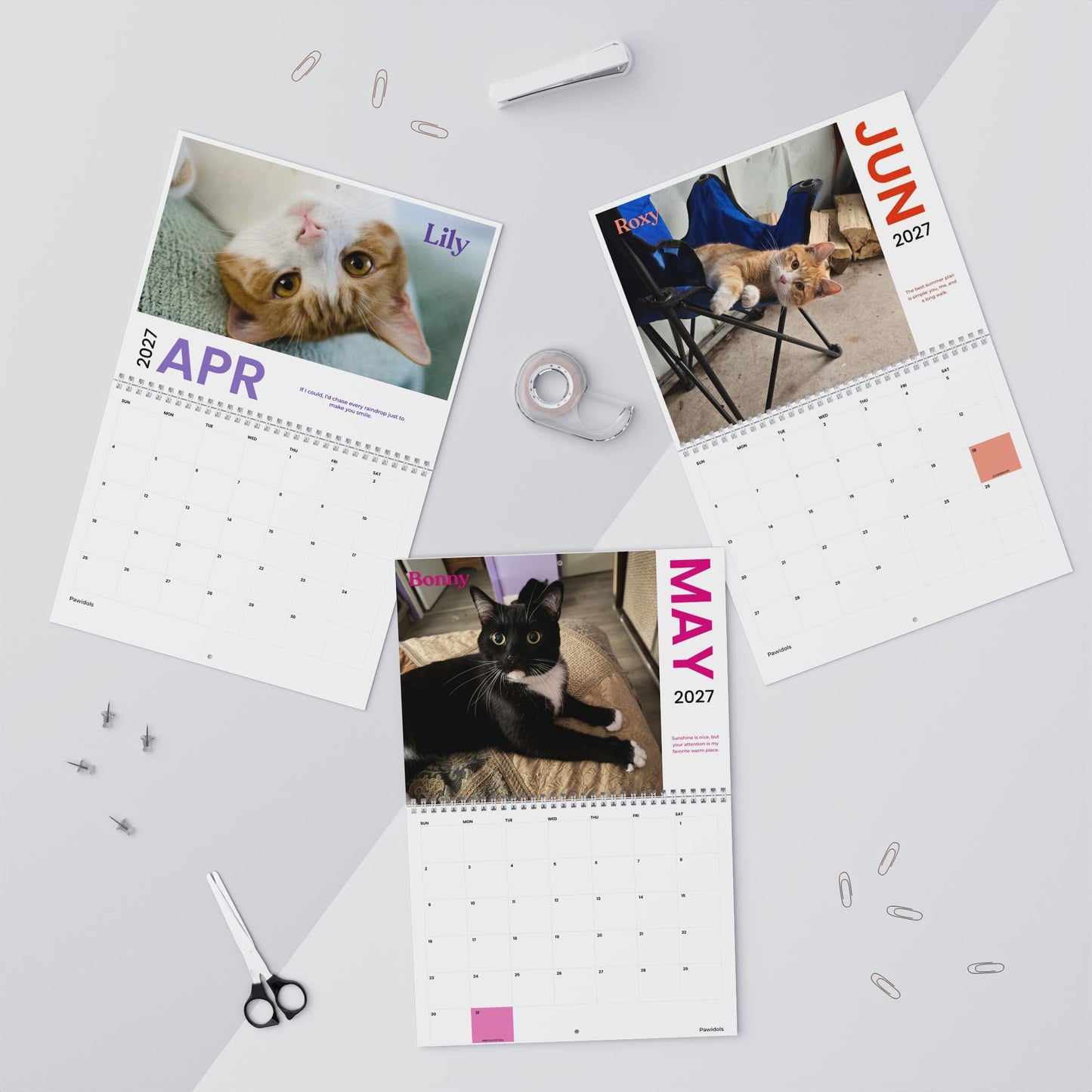 NEW Paw Calendar CAT October 2026 - September 2027