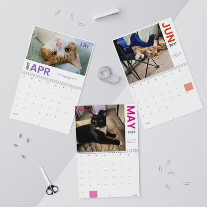 NEW Paw Calendar CAT October 2026 - September 2027