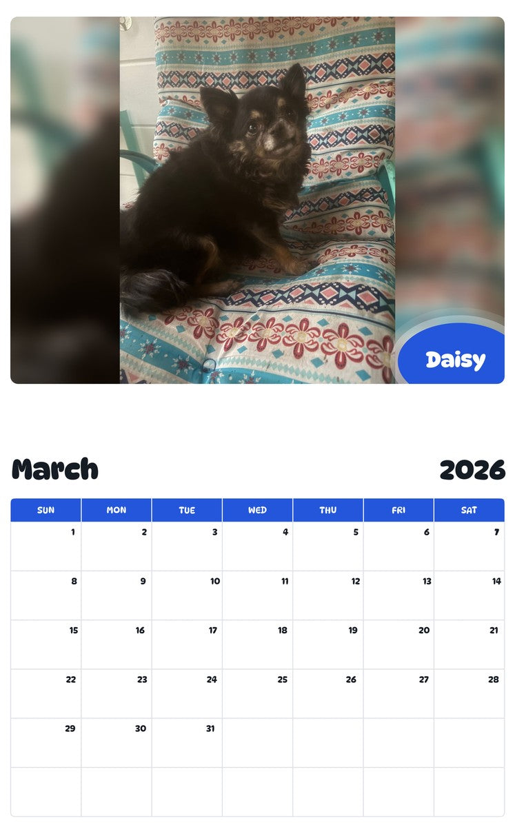 November 2025 - October 2026 Daisy - Pawidols Pet Calendar