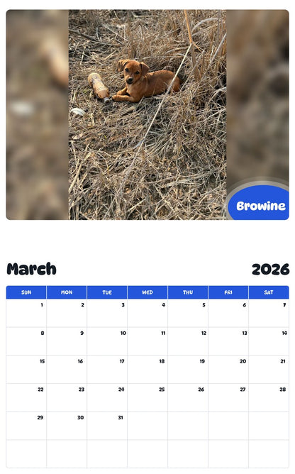 November 2025 - October 2026 Browine - Pawidols Pet Calendar