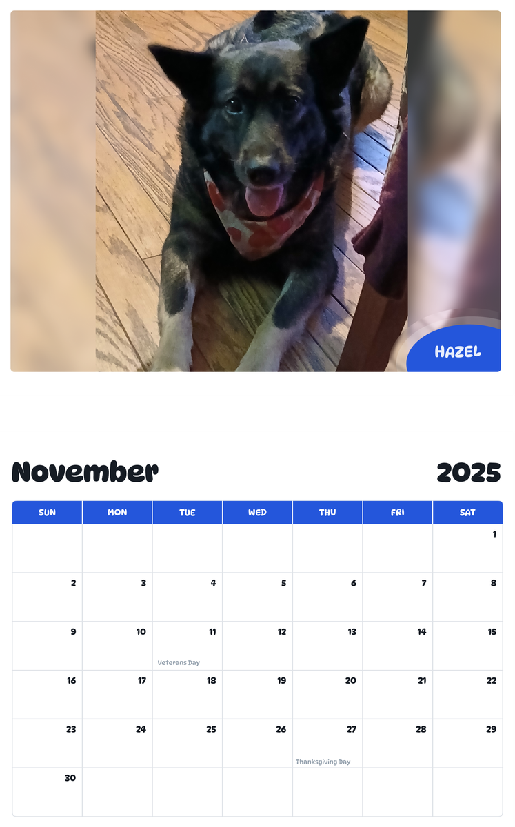 July 2025 - June 2026 Hazel - Pawidols Pet Calendar