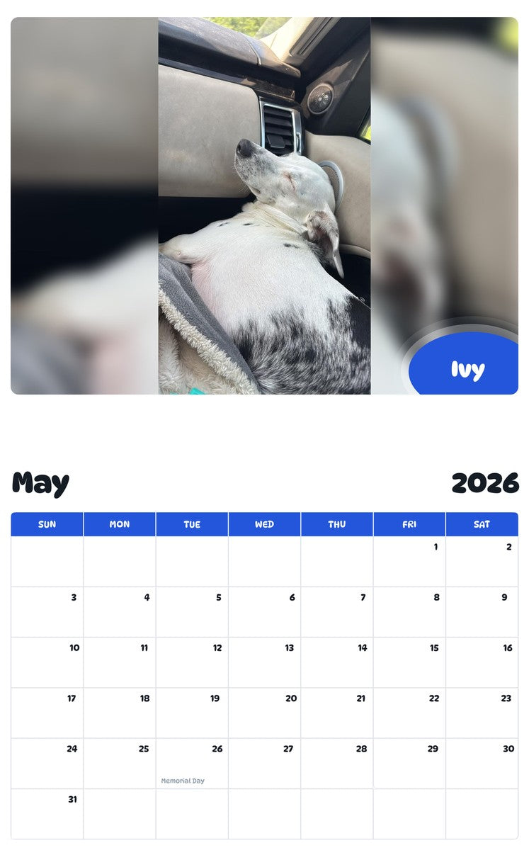 2026 - 2027 Ivy - Pawidols Pet Calendar