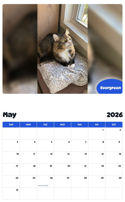 2026 - 2027 Evergreen - Pawidols Pet Calendar