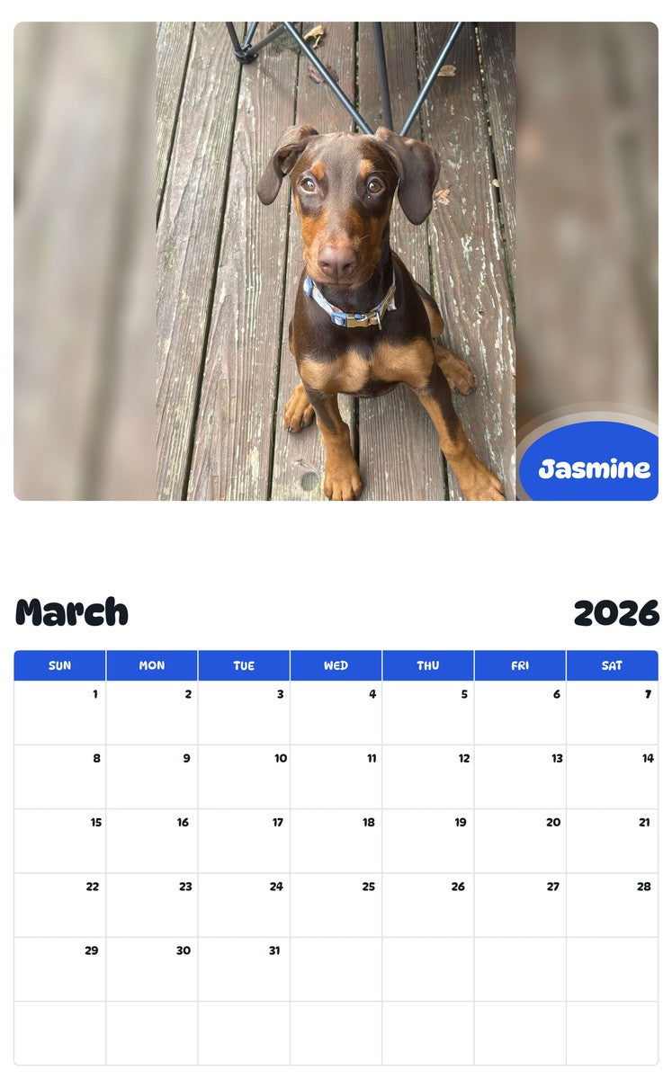 November 2025 - October 2026 Jasmine - Pawidols Pet Calendar