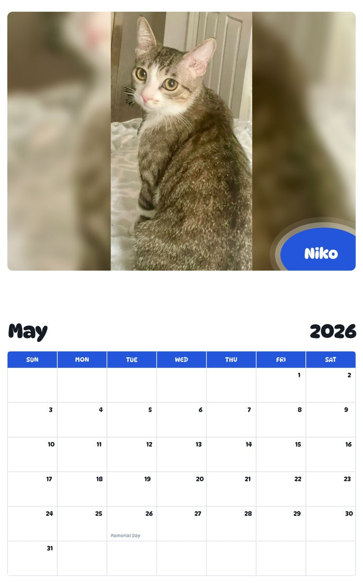 2026 - 2027 Niko - Pawidols Pet Calendar