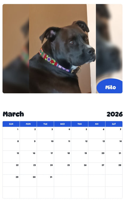 November 2025 - October 2026 Milo - Pawidols Pet Calendar