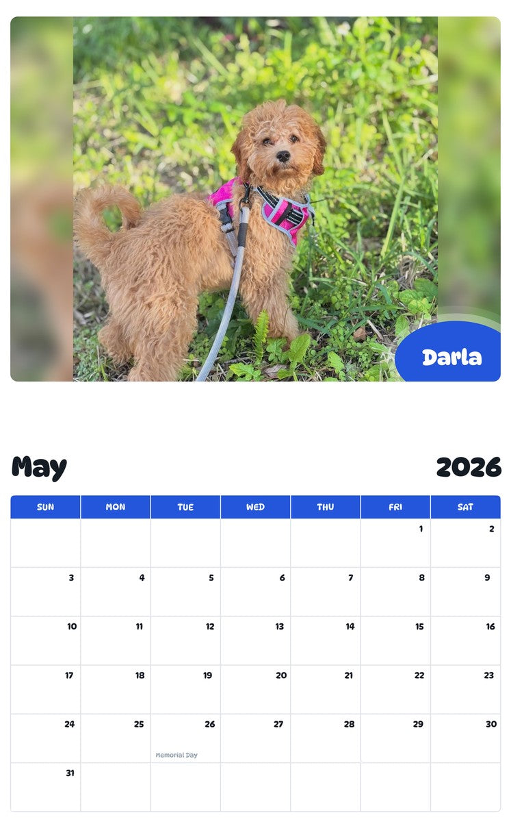 2026 - 2027 Darla - Pawidols Pet Calendar