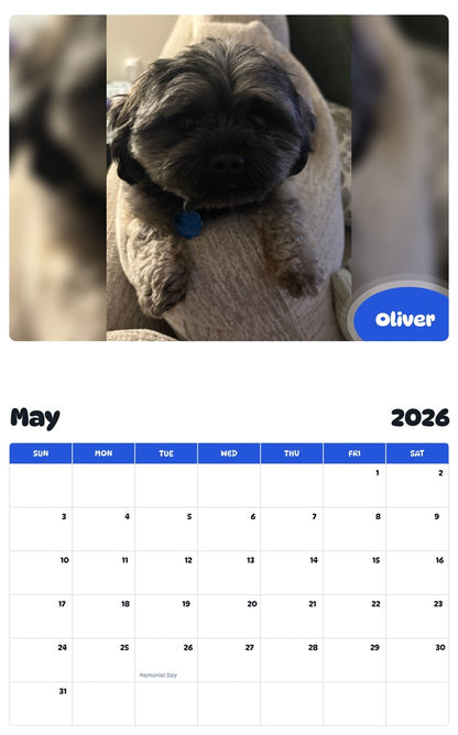 2026 - 2027 Oliver - Pawidols Pet Calendar