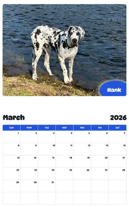 November 2025 - October 2026 Hank - Pawidols Pet Calendar