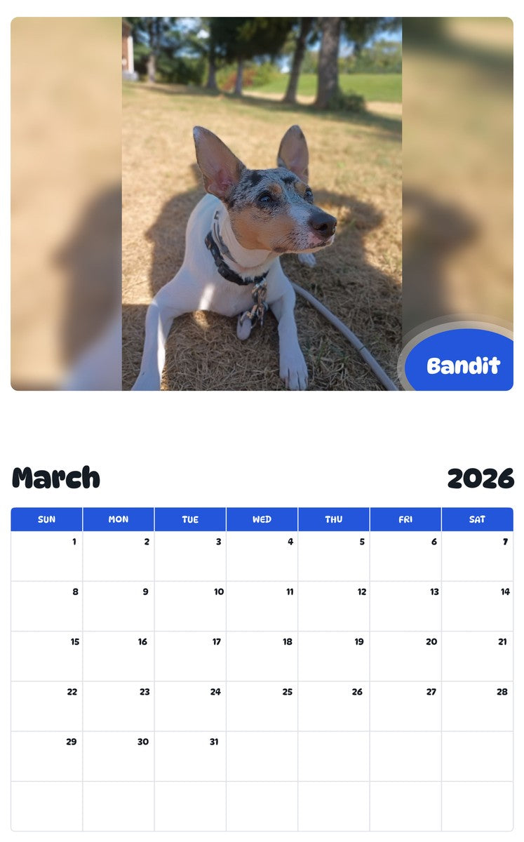 November 2025 - October 2026 Bandit - Pawidols Pet Calendar