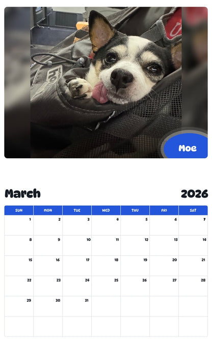 November 2025 - October 2026 Moe - Pawidols Pet Calendar