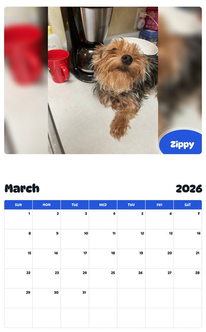 November 2025 - October 2026 Zippy - Pawidols Pet Calendar