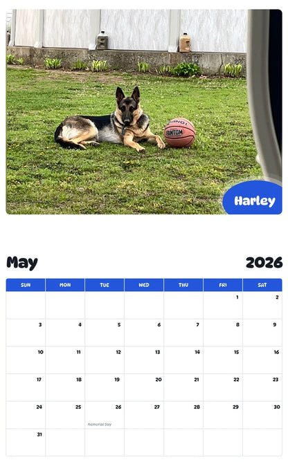 2026 - 2027 Harley - Pawidols Pet Calendar